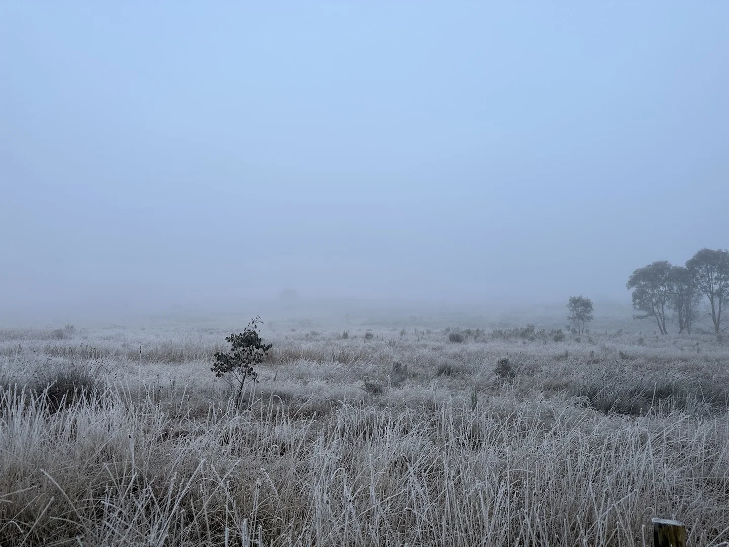 Additional image 48 of 2102 Kiowarrah Road, Bevendale NSW 2581