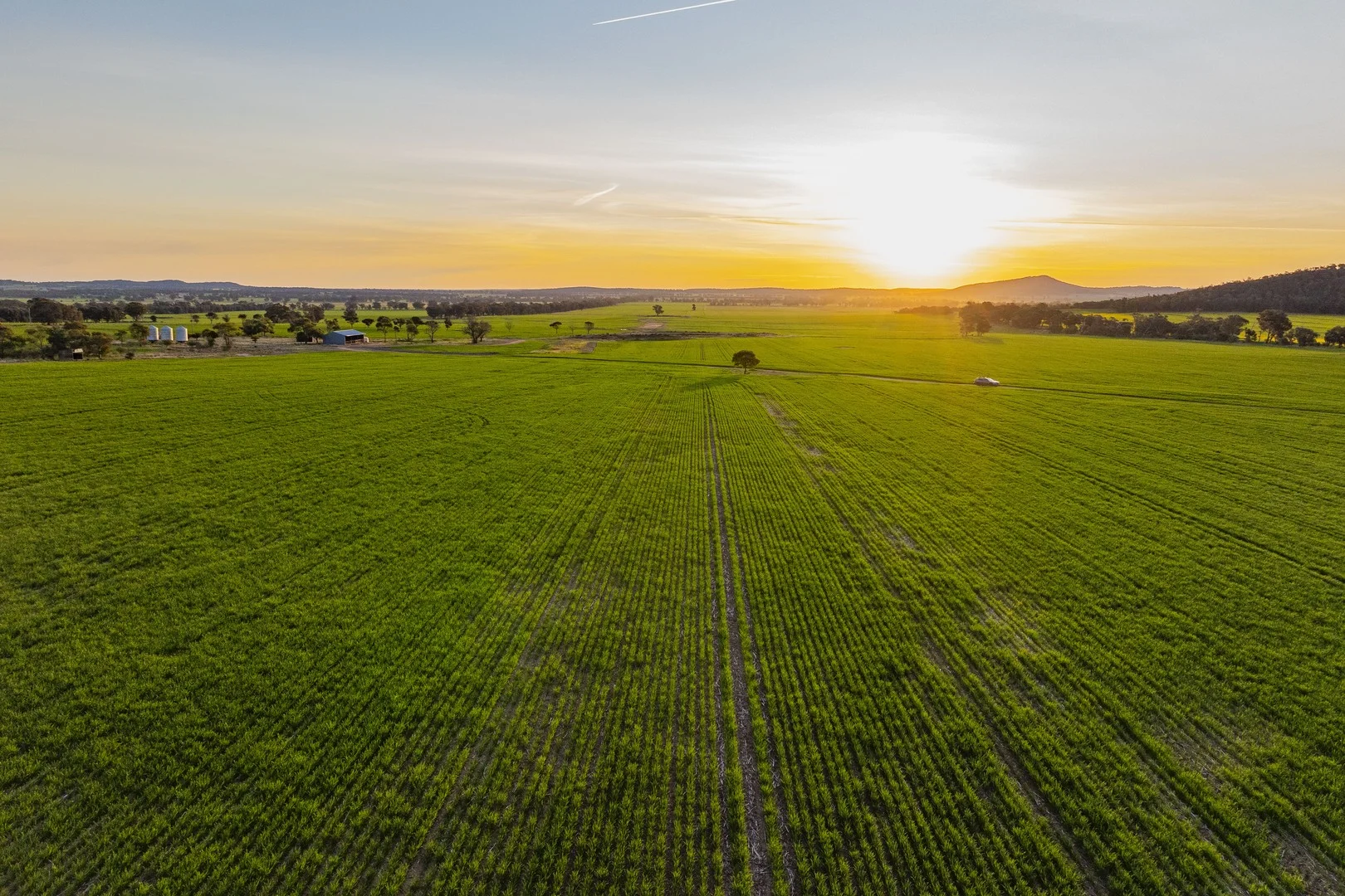 Additional image 36 of 1349 Trungley Hall Road, Temora NSW 2666