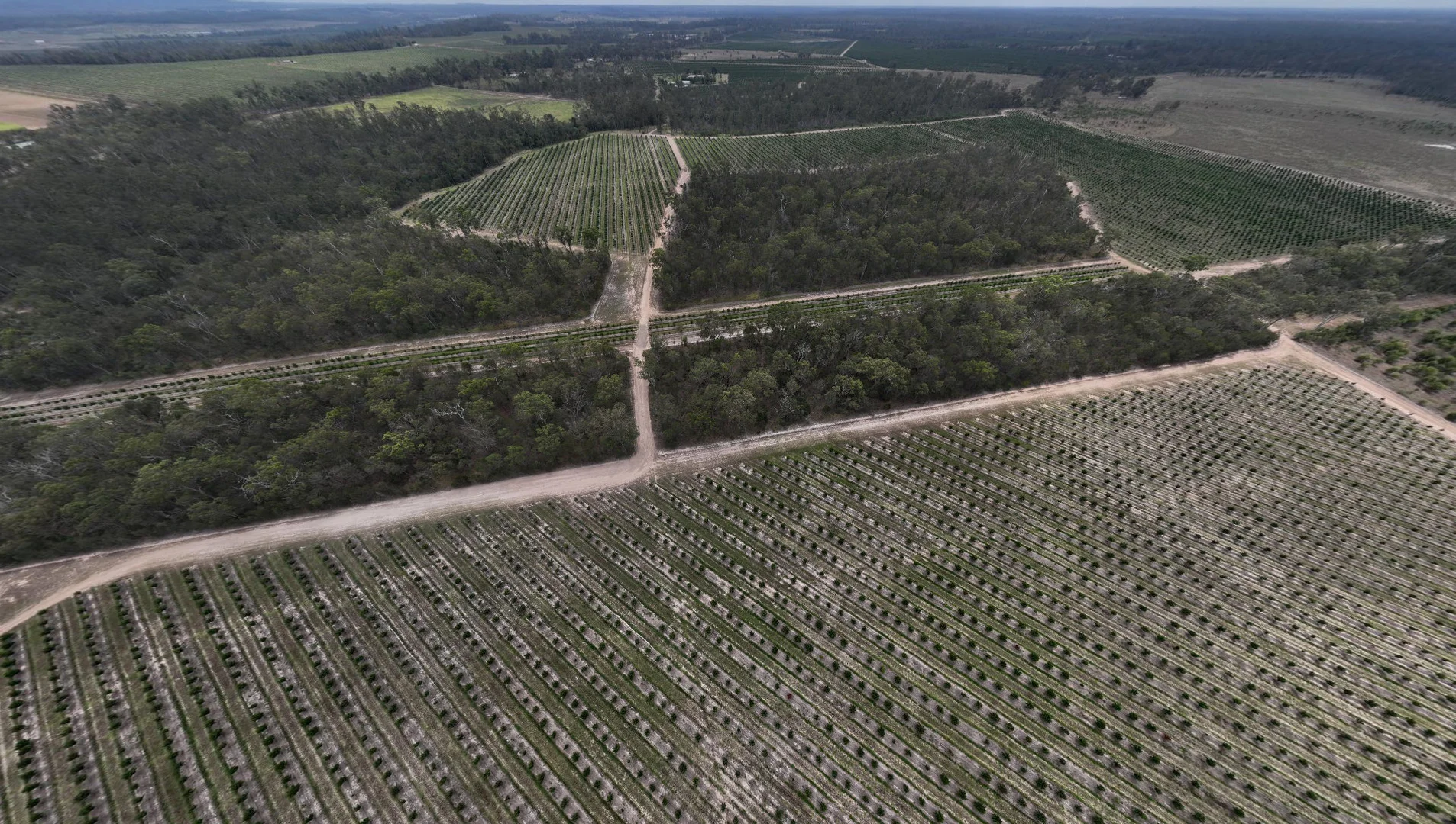 Additional image 4 of Bucca QLD 4670