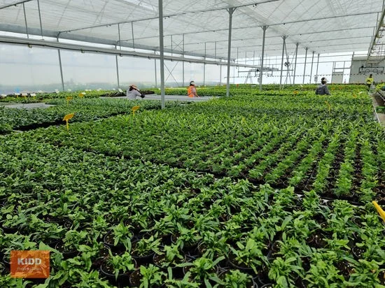 Additional image 18 of Peats Ridge NSW 2250