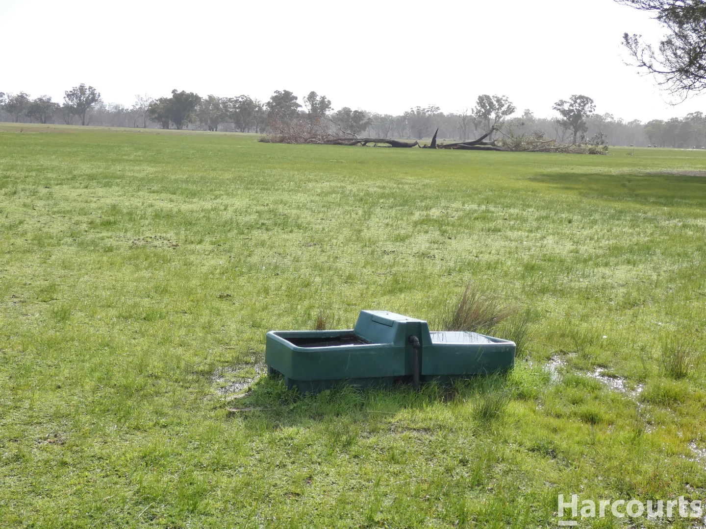 Additional image 23 of 6080 Western Highway, Dadswells Bridge VIC 3385
