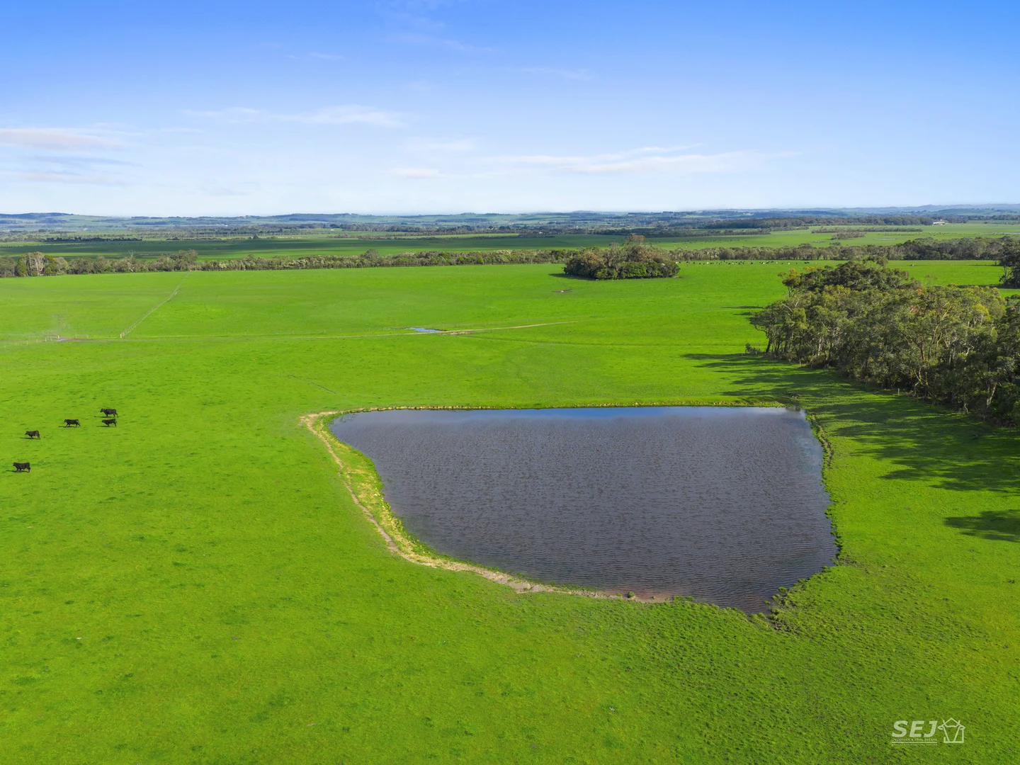 Additional image 20 of 115 Buffalo-Stony Creek Road, Buffalo VIC 3958