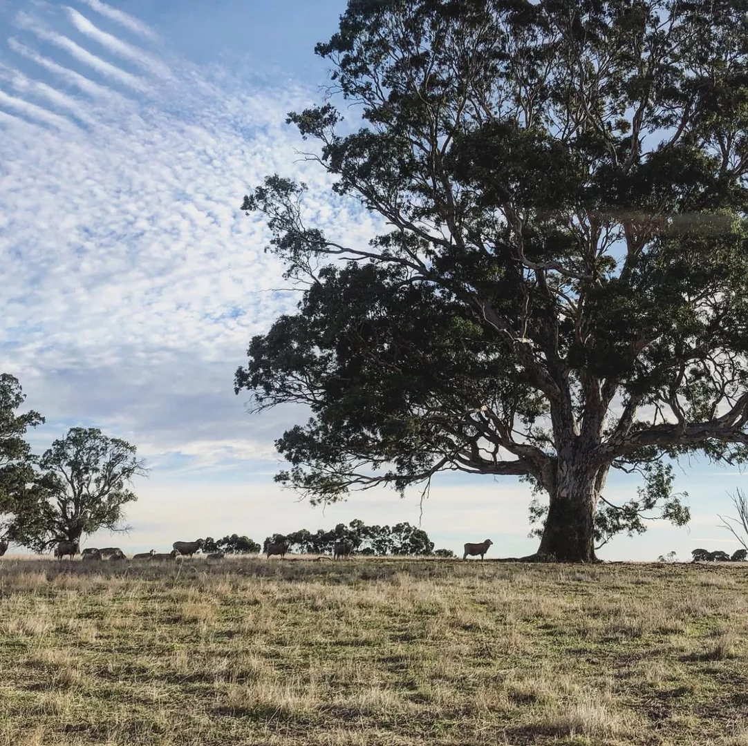 Additional image 23 of Lot/11 Casterton Apsley Road, Apsley VIC 3319