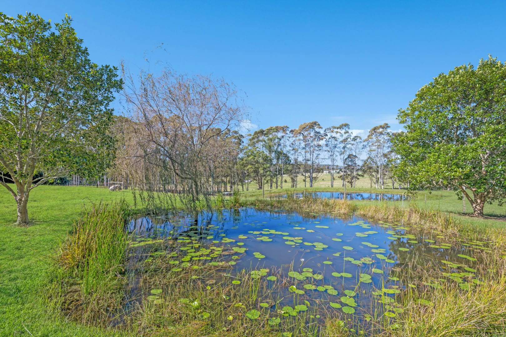 Additional image 50 of 132 Apanie Road, Lake Innes NSW 2446