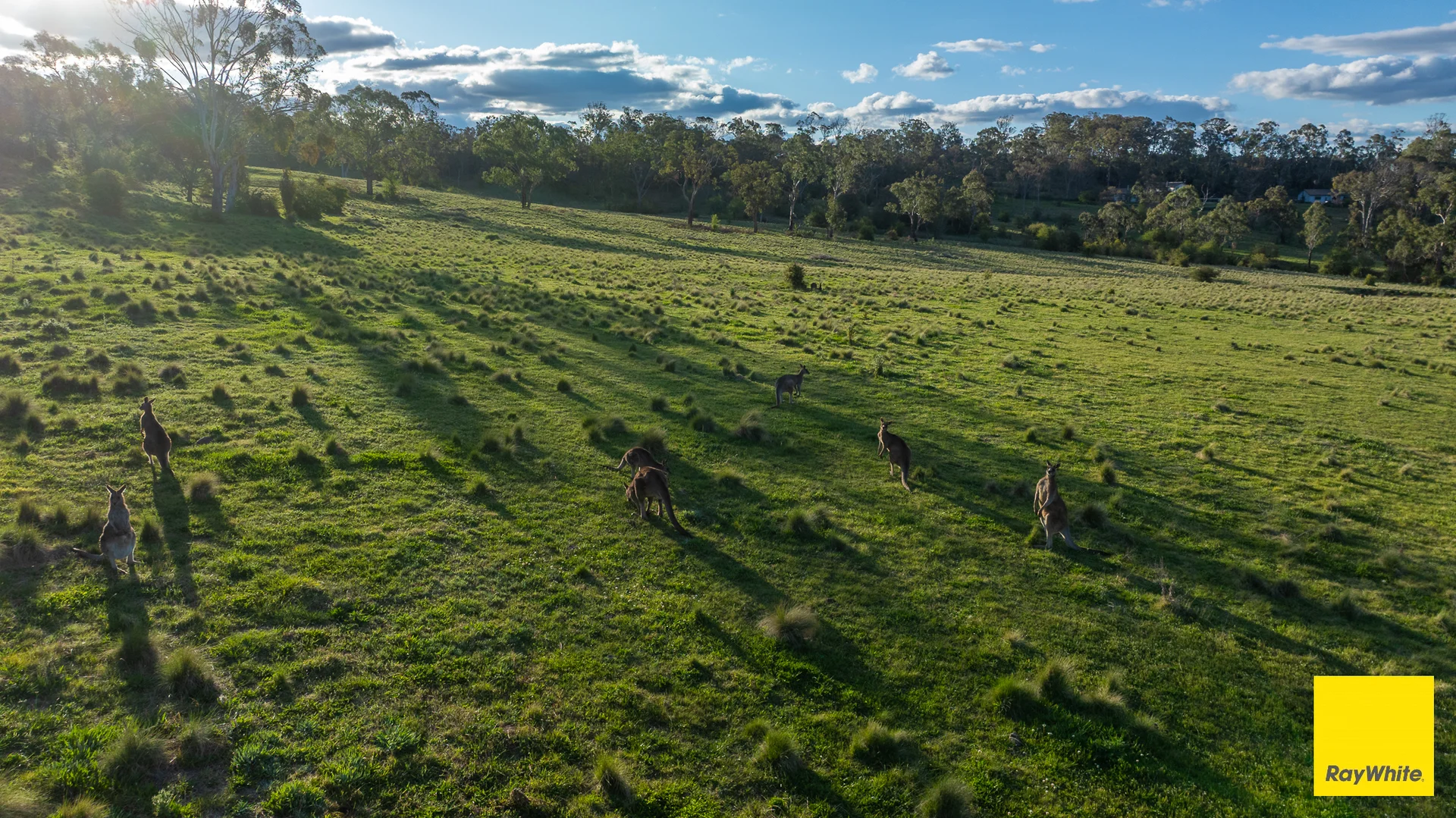 Additional image 20 of 15 Karina Close, Armidale NSW 2350