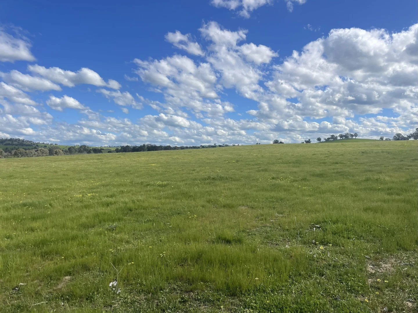 Additional image 6 of Lot 70 Cooney's Creek Road, Jugiong NSW 2726