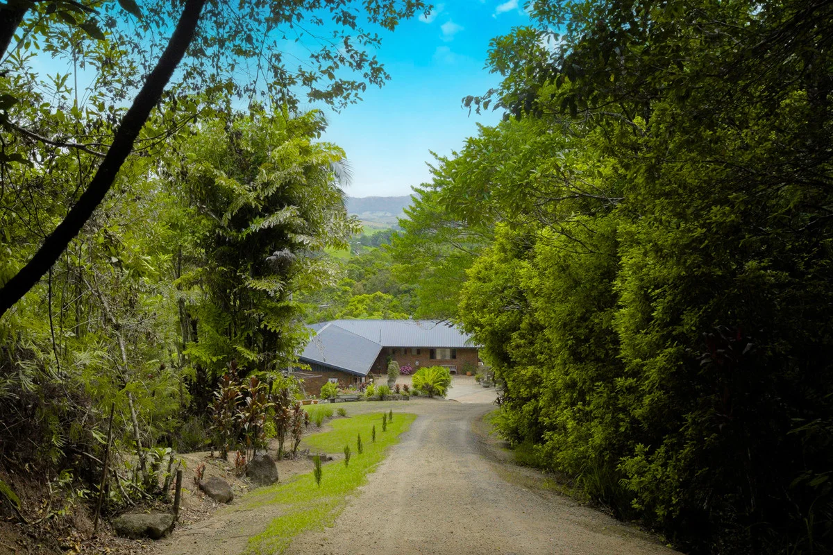 Additional image 6 of 222 Hitchconole Road, Tarzali QLD 4885