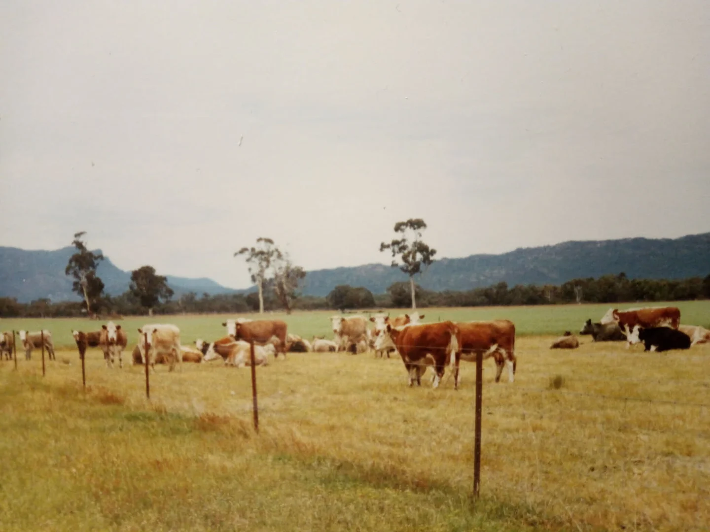 Additional image 13 of Golton South Road, Dadswells Bridge VIC 3385