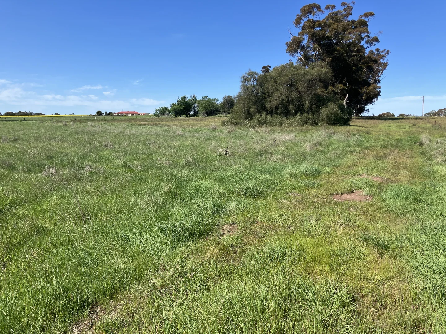 Additional image 4 of 668 Ullswater-Mortat Road, Ullswater VIC 3318