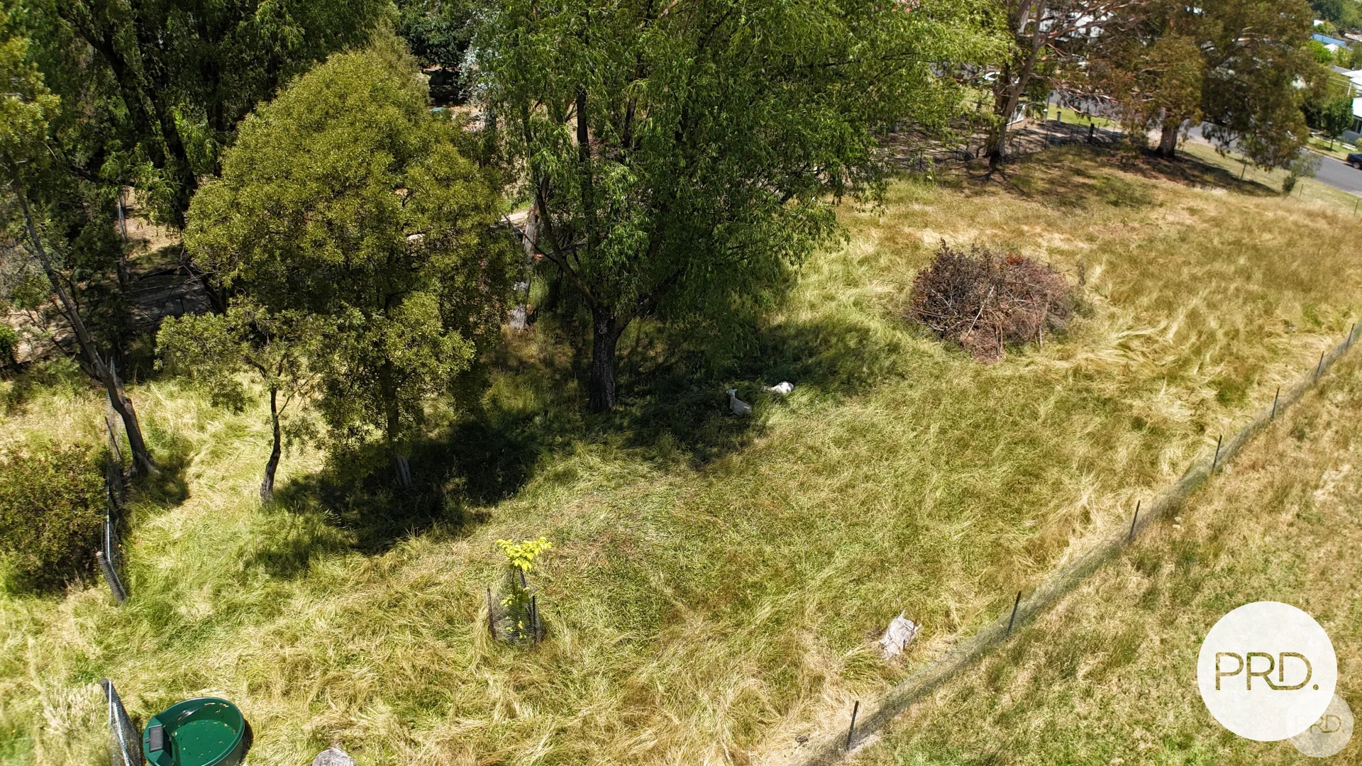 Additional image 19 of Lot 1/120 Gilbert Street, Tumbarumba NSW 2653