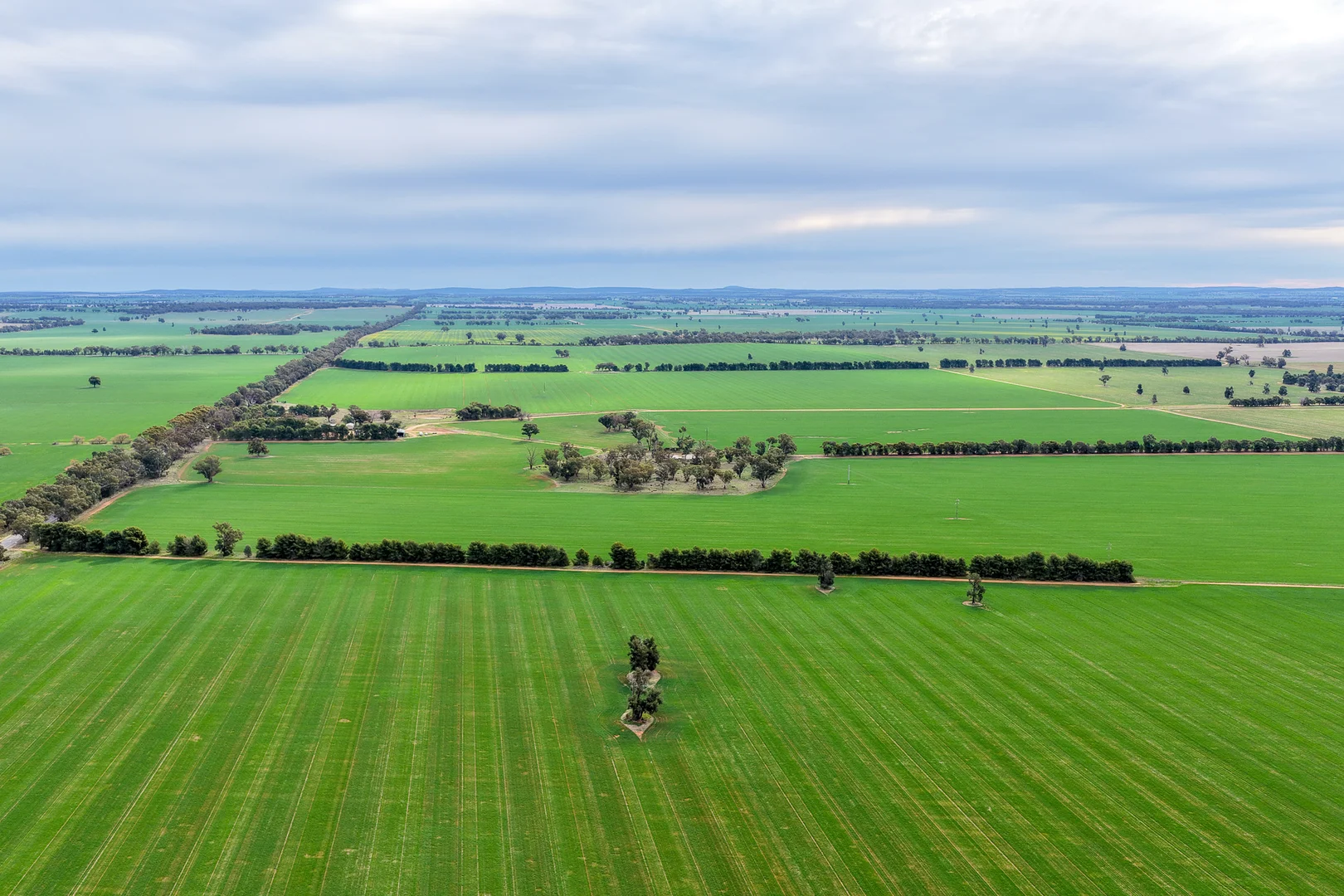 Additional image 17 of Weise Aggregation, Beckom, Ardlethan,, Ariah Park NSW 2665