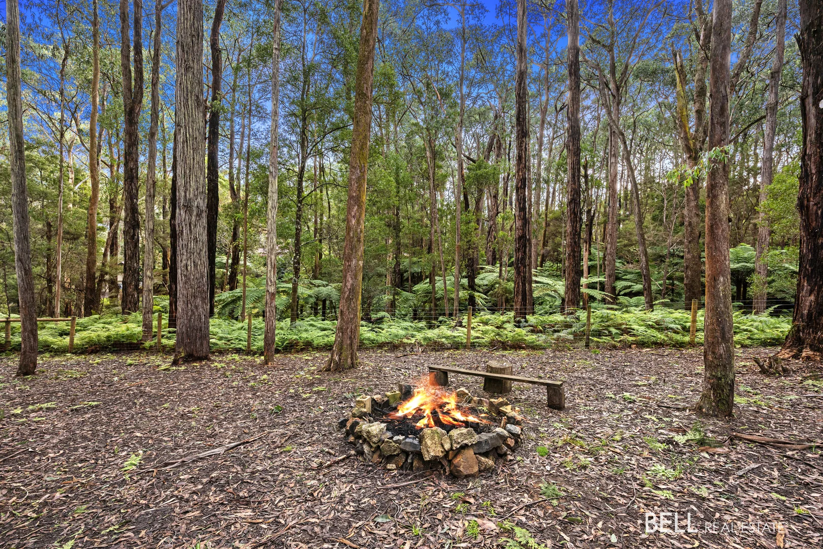 Additional image 2 of 15 Lyrebird Avenue, East Warburton VIC 3799