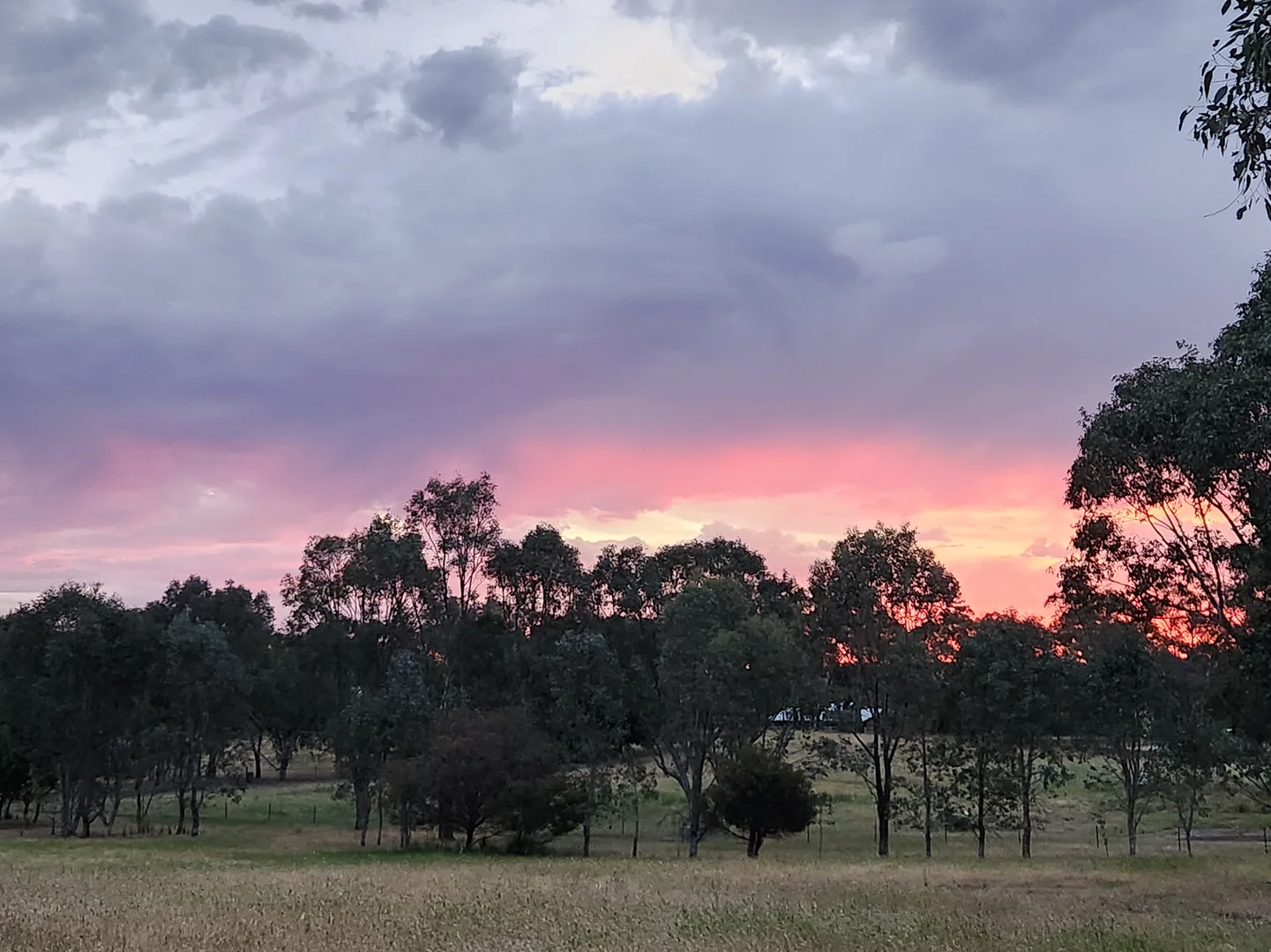 Additional image 10 of 225 Belmore Road, Young NSW 2594