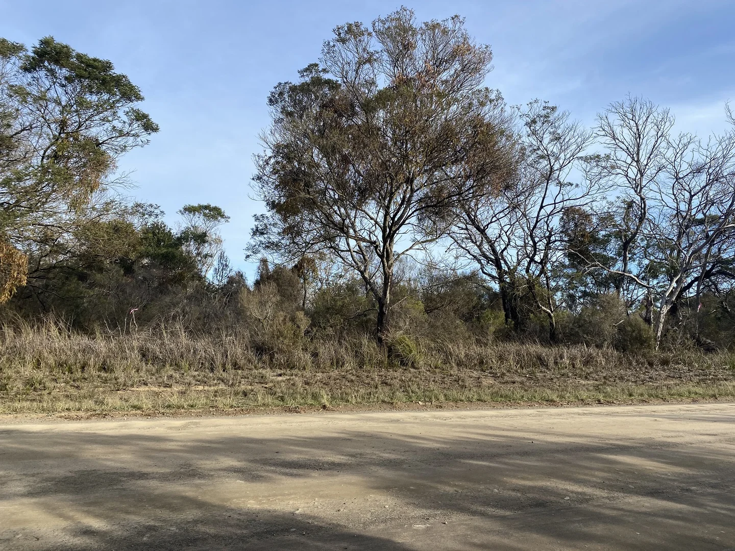 Additional image 2 of Tankerton Road, French Island VIC 3921