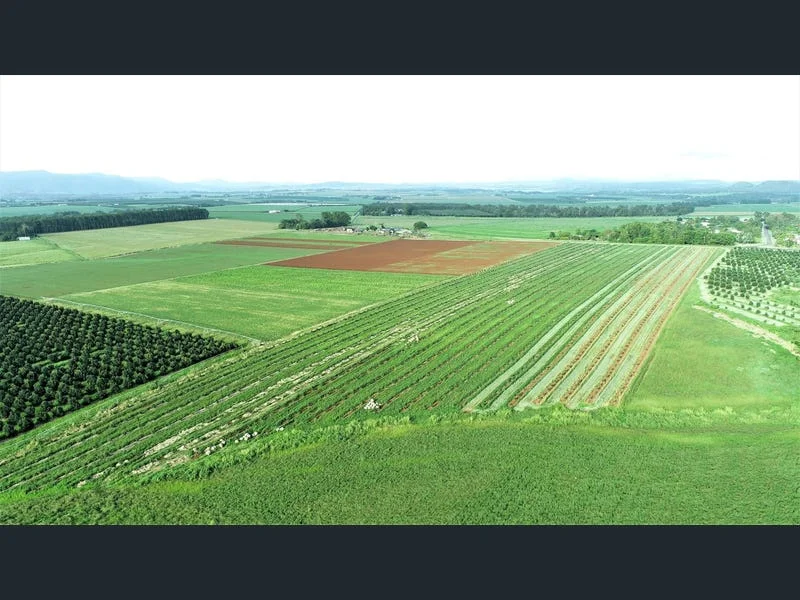 Additional image 20 of 139 Tinaroo Falls Dam Road, Atherton QLD 4883