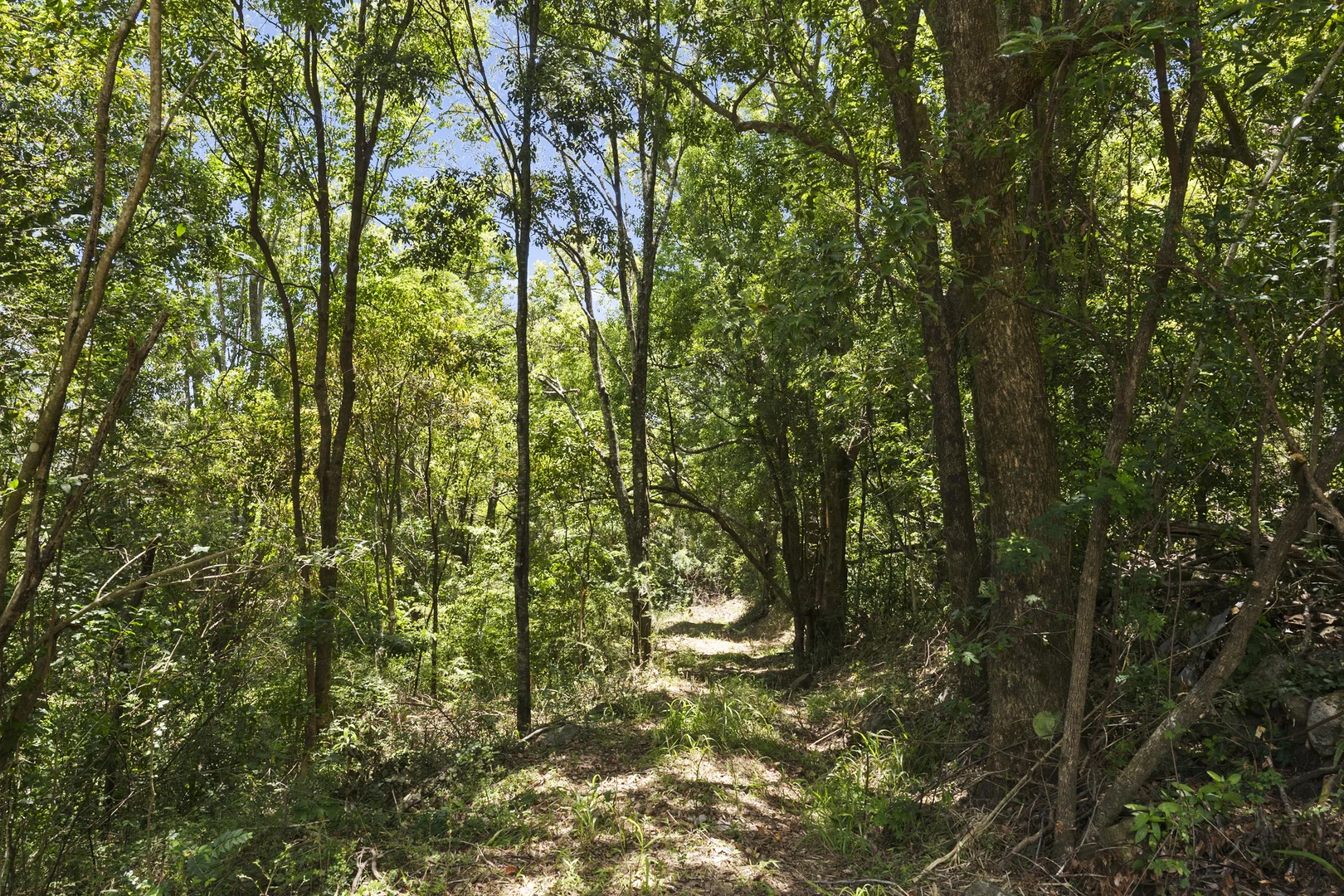 Additional image 8 of 487 Carool Road, Carool NSW 2486