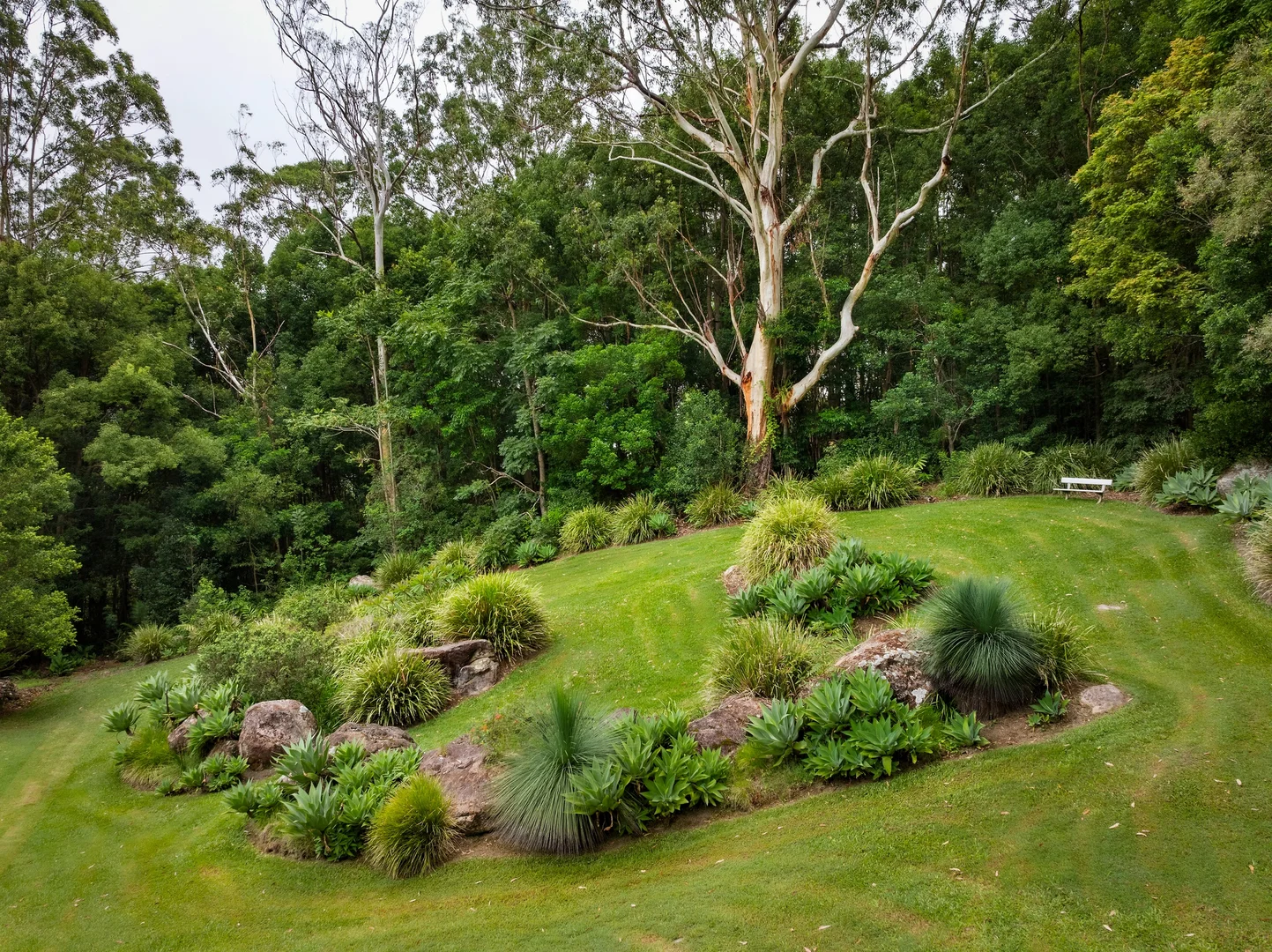 Additional image 24 of 715 Left Bank Road, Mullumbimby Creek NSW 2482