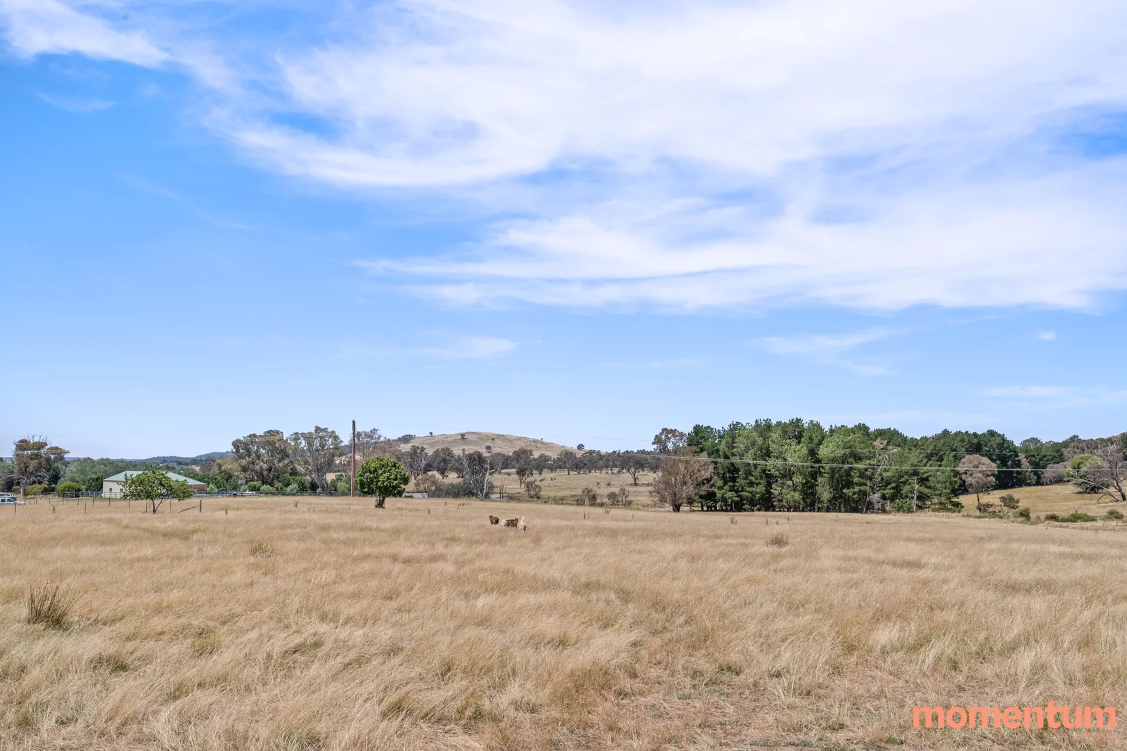 Additional image 46 of 5 Euroka Avenue, Murrumbateman NSW 2582