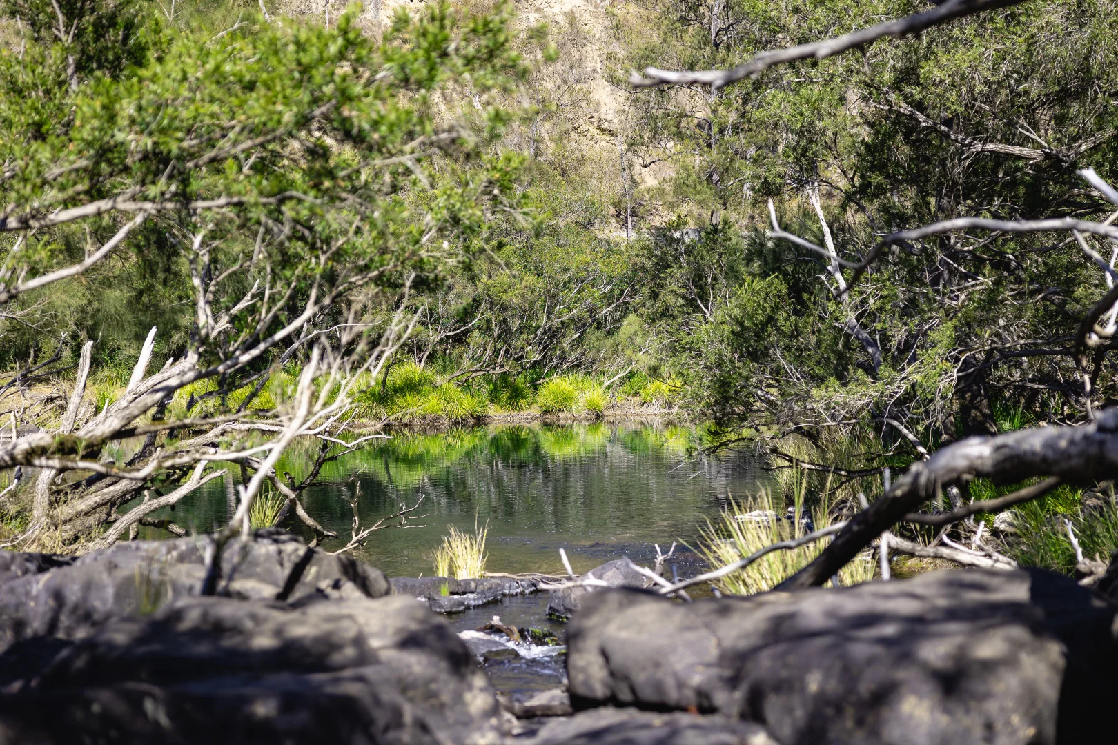 Additional image 3 of Lot 201 Paddys Flat Road, Tooloom NSW 2475