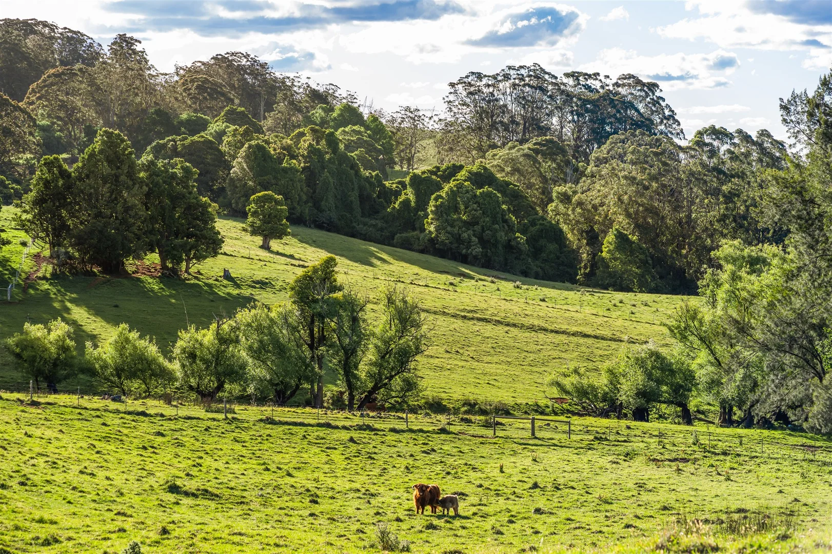 Additional image 15 of 4980 Illawarra Highway, Robertson NSW 2577