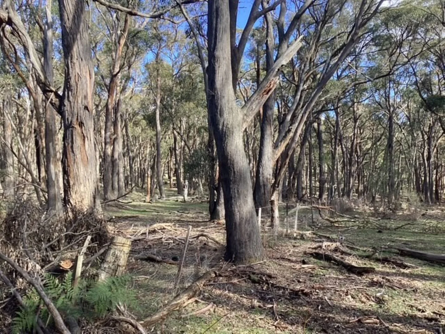 Additional image 12 of 45 Clarendon - Lal Lal Road, Clarendon VIC 3352