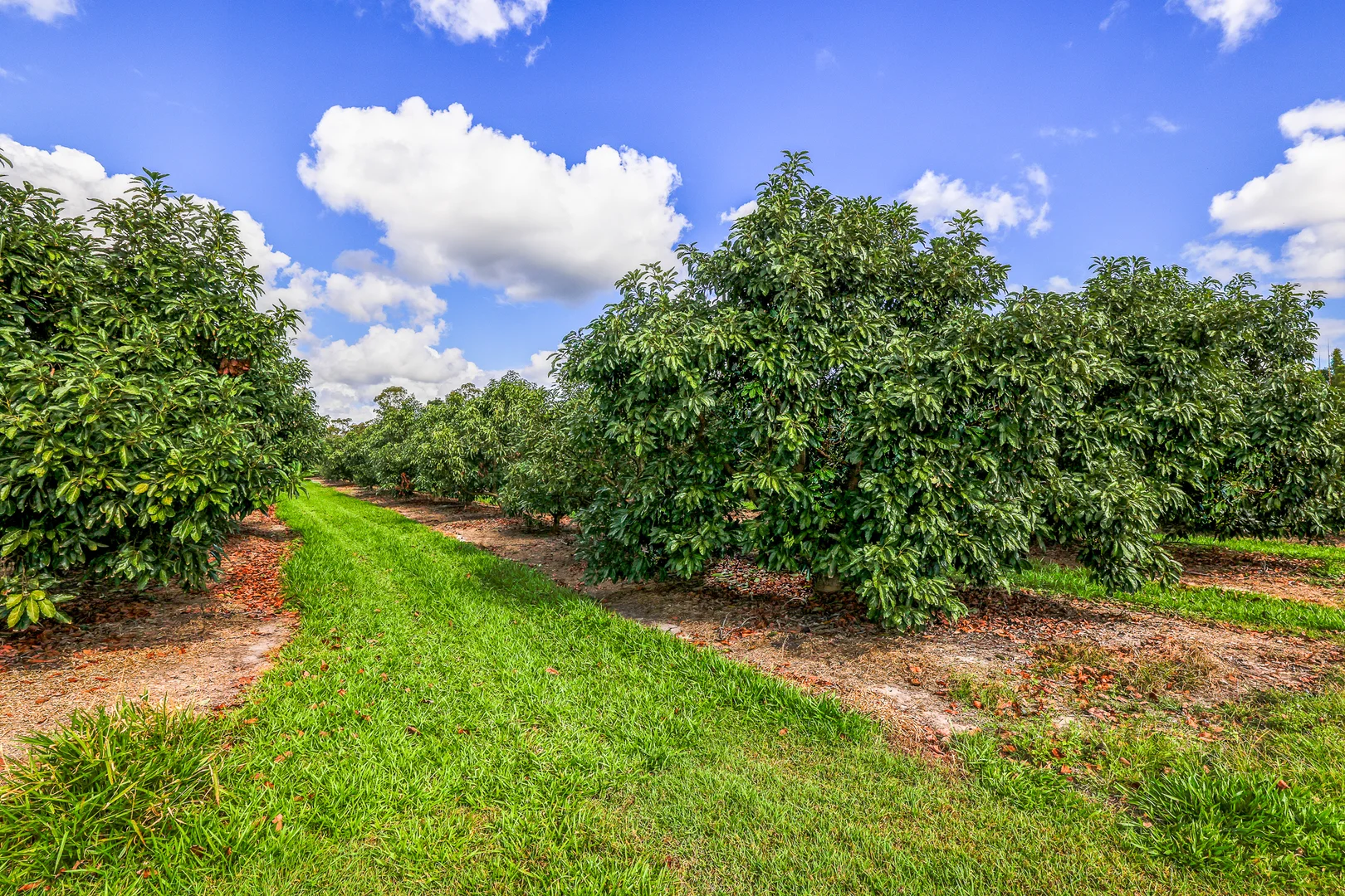 Additional image 18 of 154 Foleys Road, North Gregory QLD 4660
