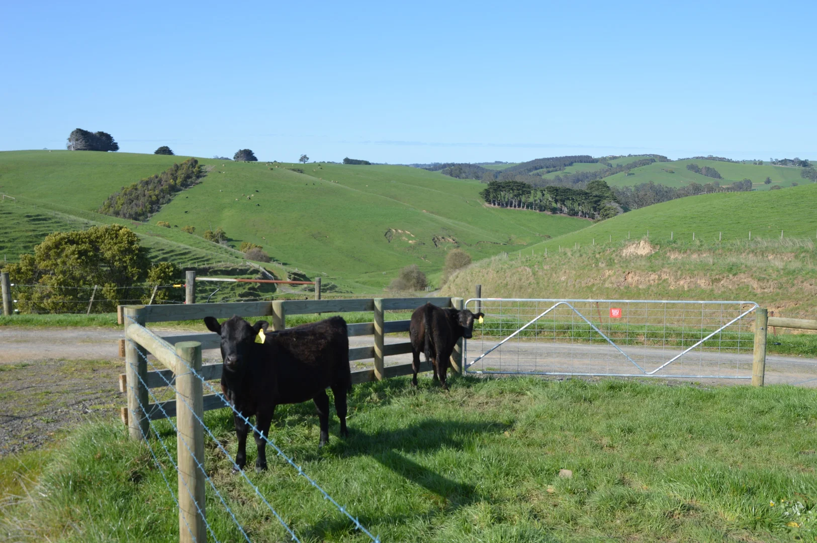 Additional image 15 of Beckett Street, Poowong VIC 3988