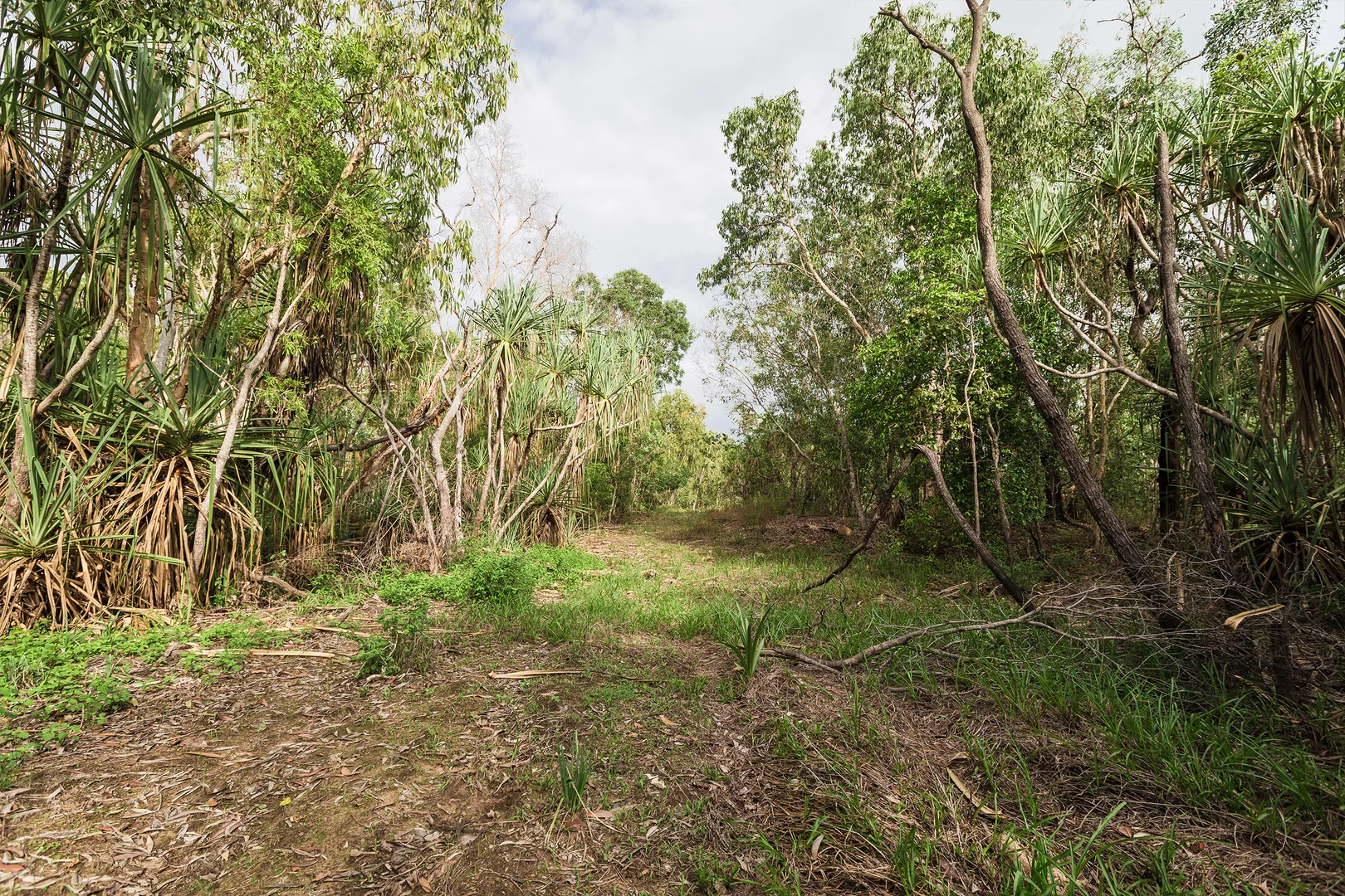 Additional image 18 of 56 Dowling Rd, Virginia NT 0834