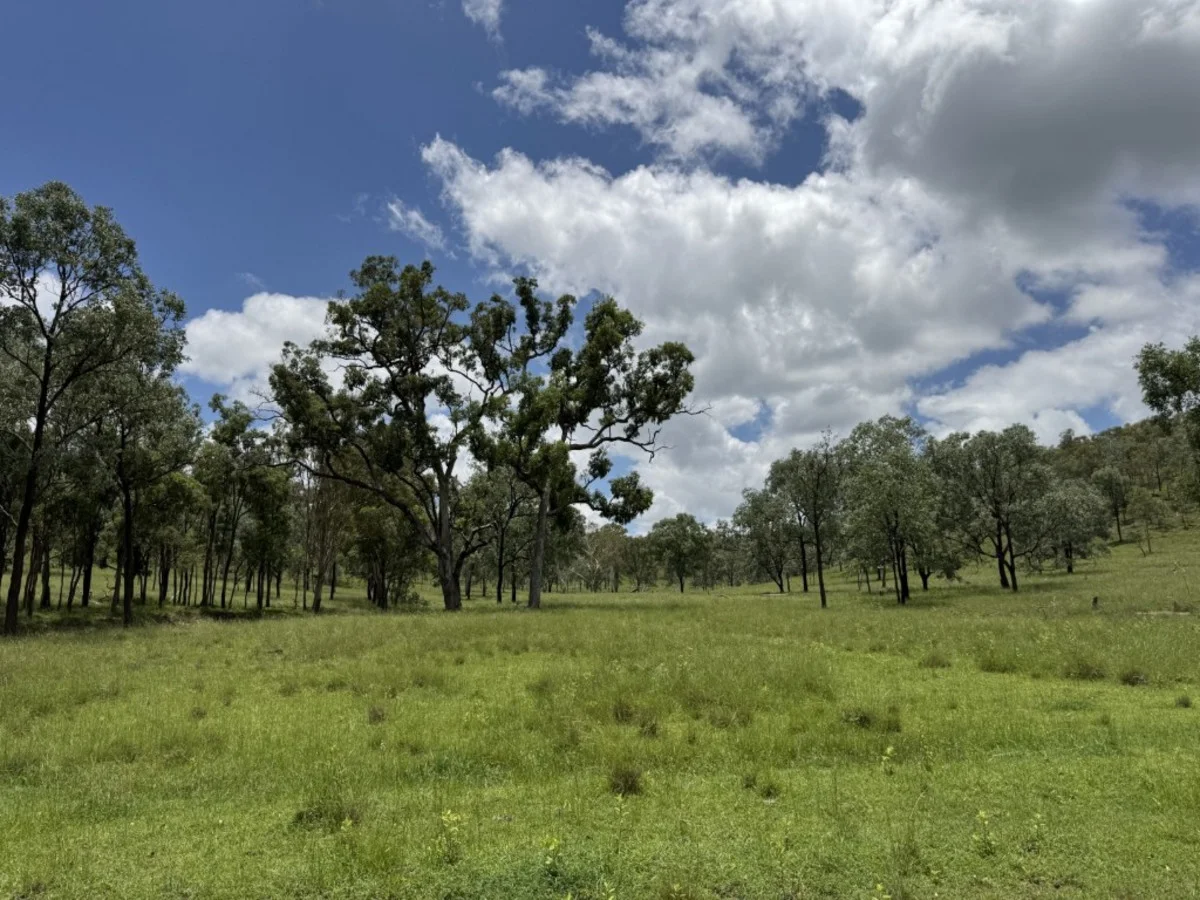 Additional image 29 of 2655 Clonmel Road, Monto QLD 4630