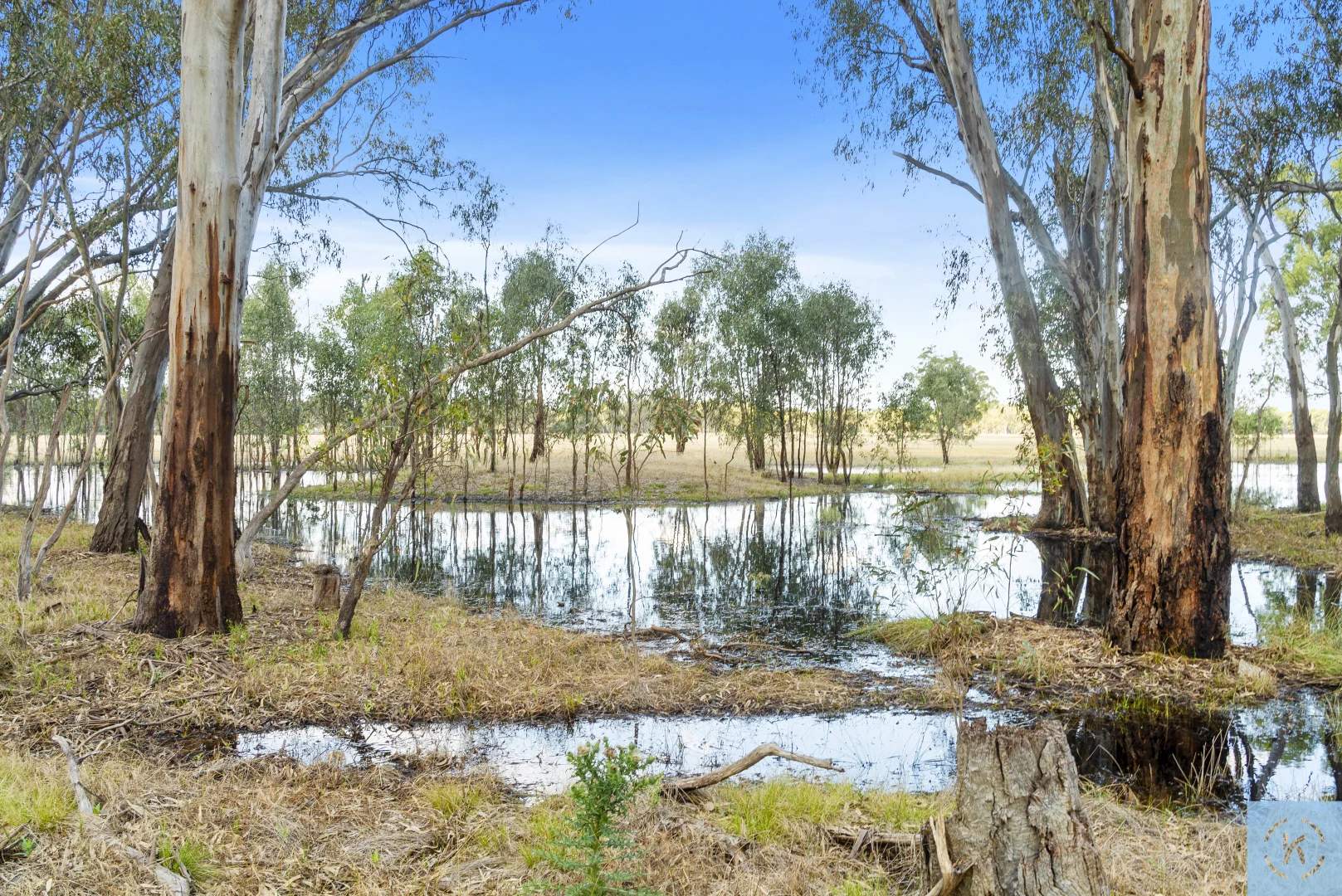 Additional image 42 of 7243 Goulburn Valley Highway, Koonoomoo VIC 3644