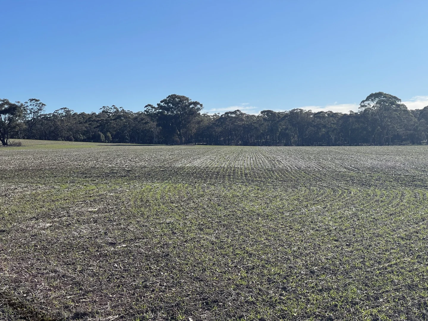 Additional image 22 of 54/54 Calder Highway, Wedderburn VIC 3518