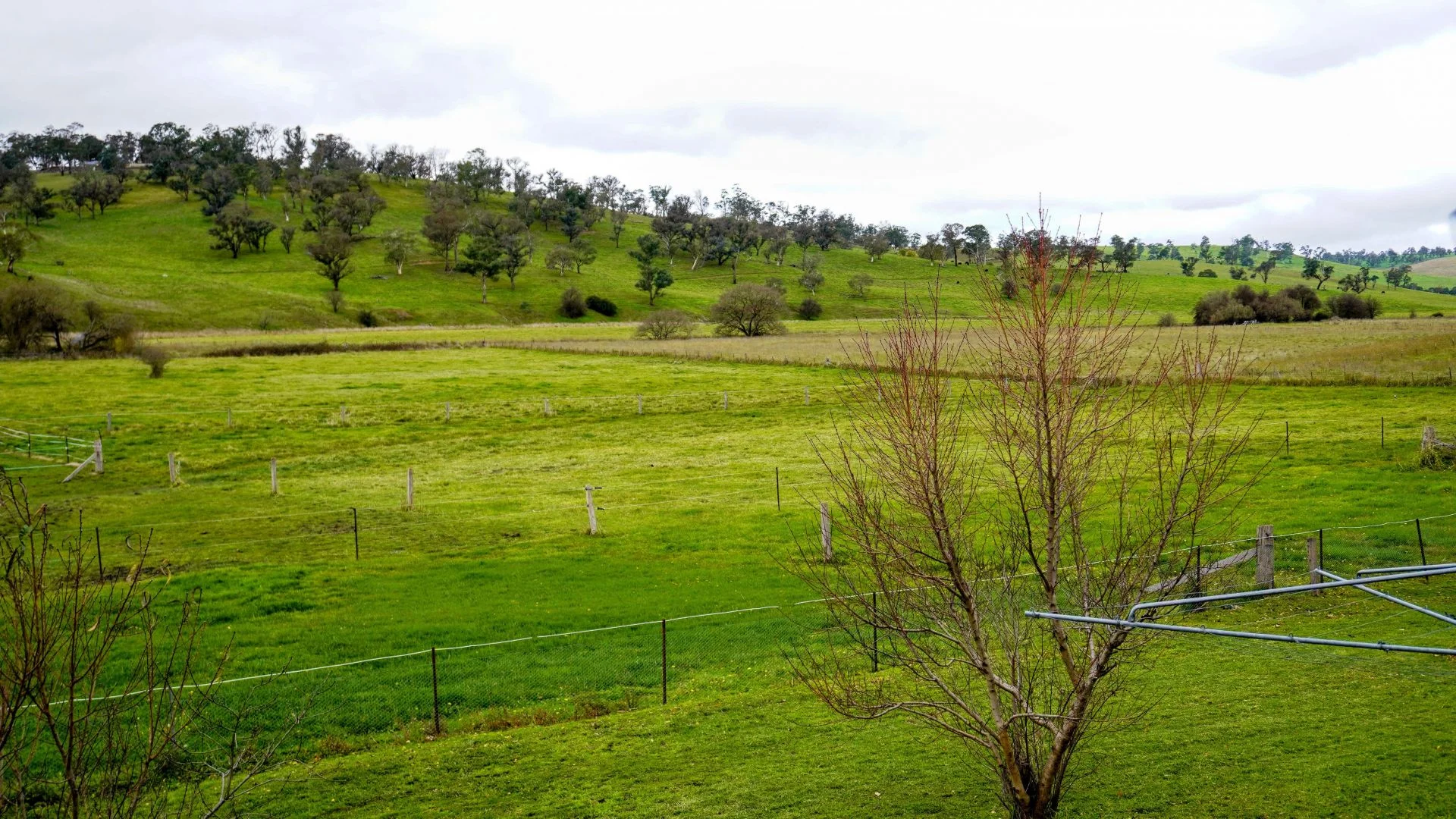 Additional image 29 of 105S Derby Street, Walcha NSW 2354