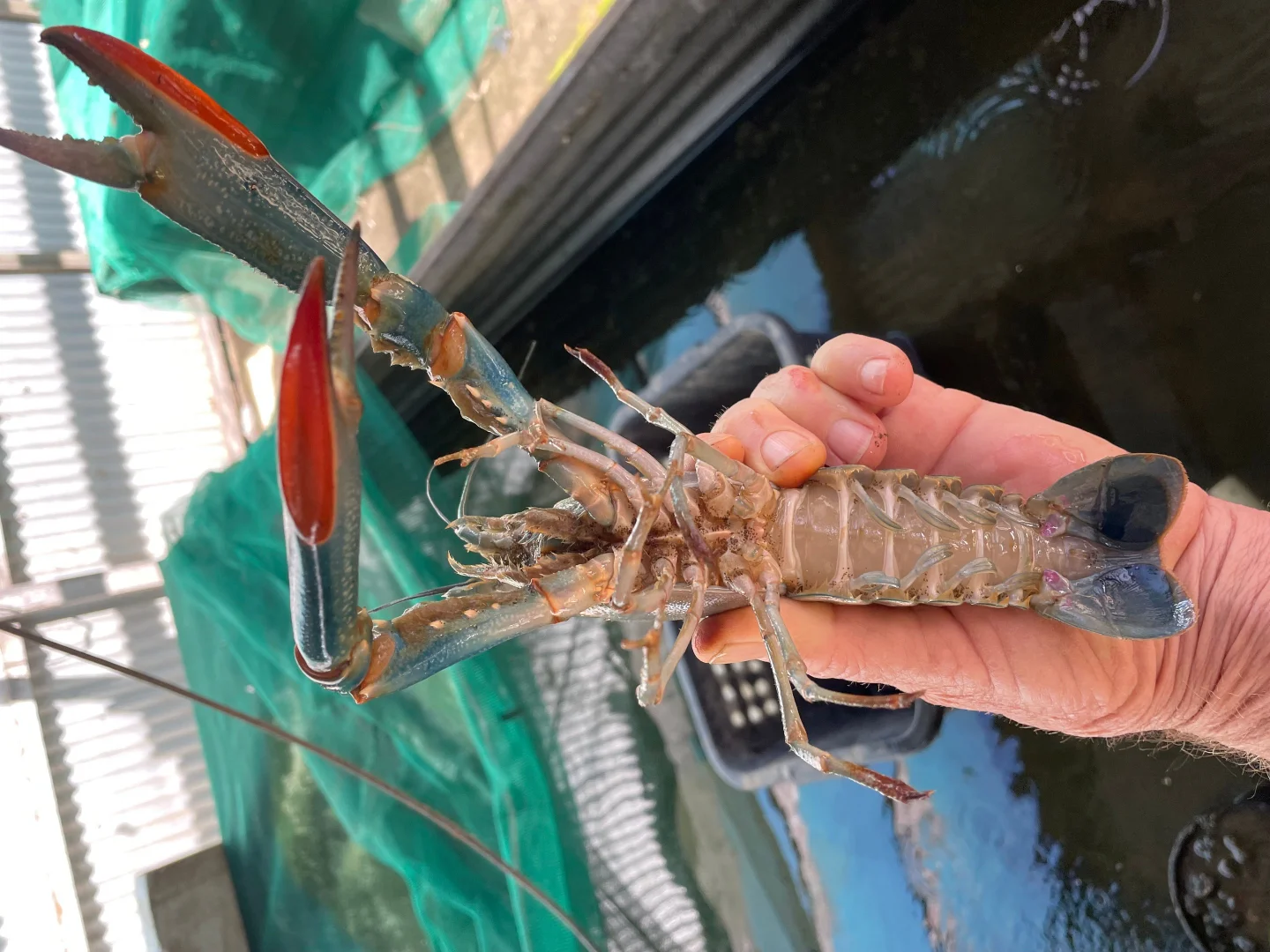 Additional image 19 of 867 Burrum Heads Road, Burrum River QLD 4659