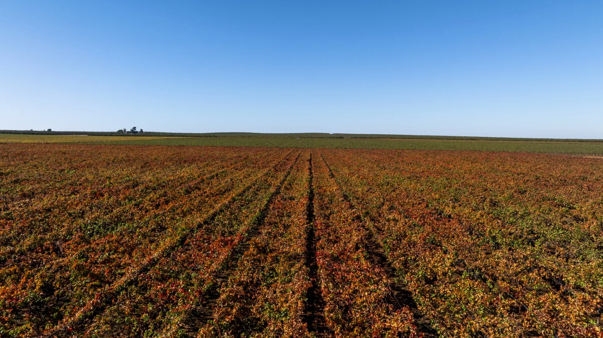 Additional image 23 of 1251 Stanitzki Road, Pike River SA 5340