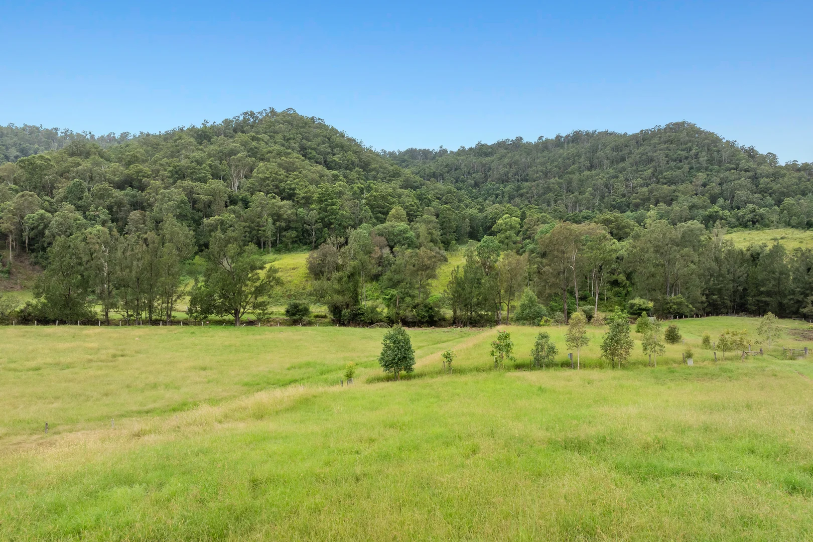 Additional image 23 of 473 Smiths Creek Road, Afterlee NSW 2474