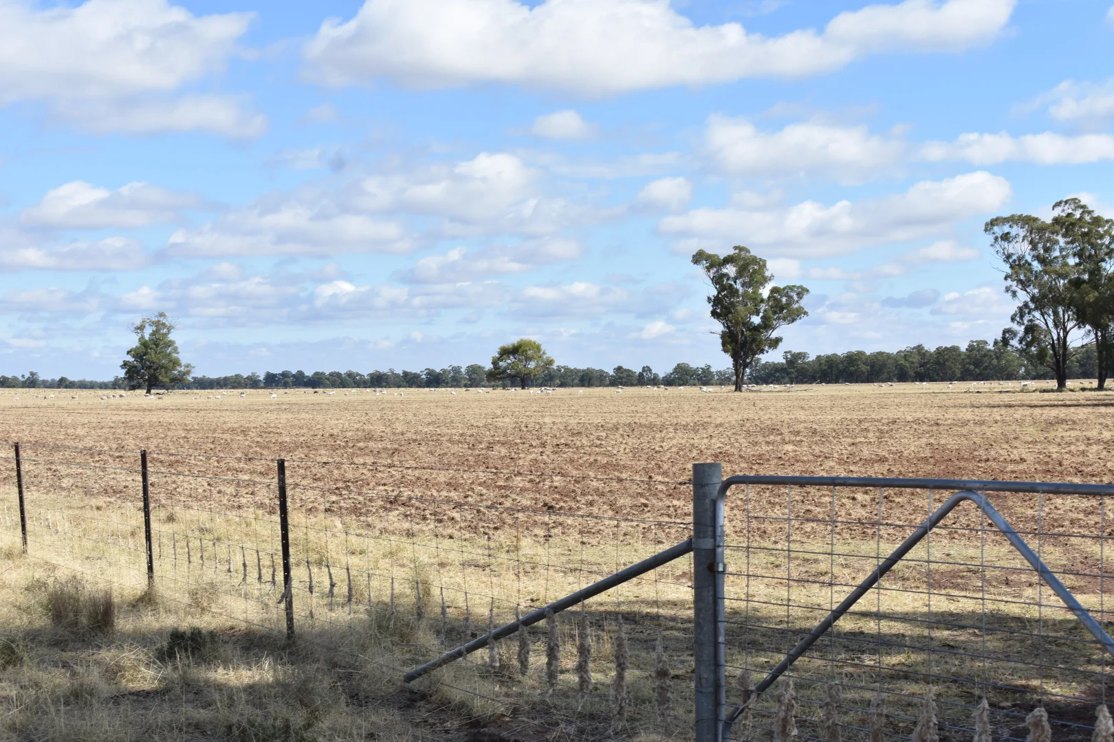 Additional image 38 of 987 Boorr Hill Road, Bruie Plains NSW 2875