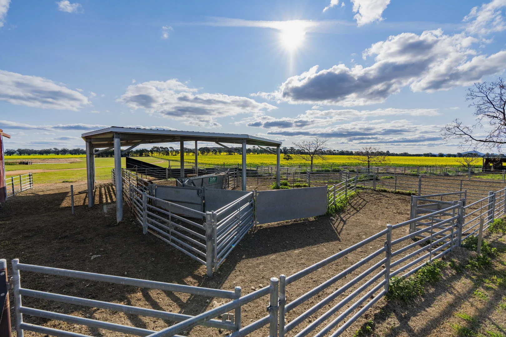 Additional image 21 of 1349 Trungley Hall Road, Temora NSW 2666