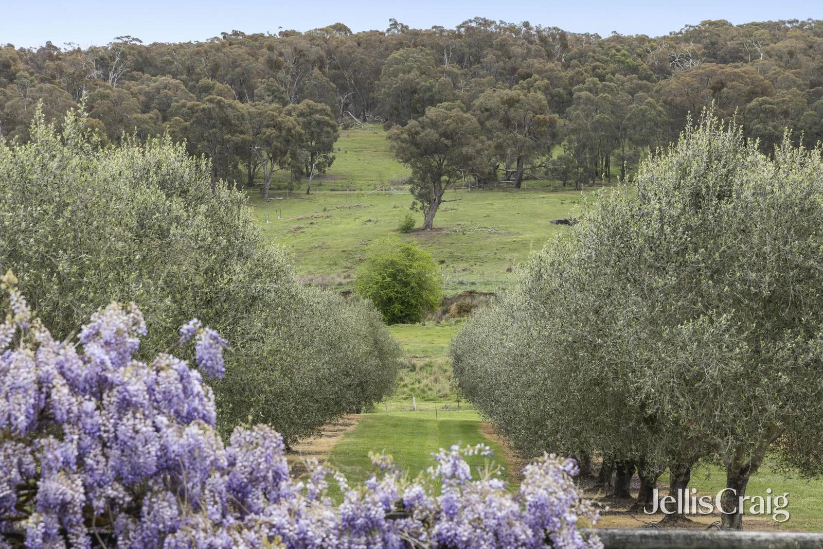 Additional image 11 of 459 Lauriston Road, Lauriston VIC 3444