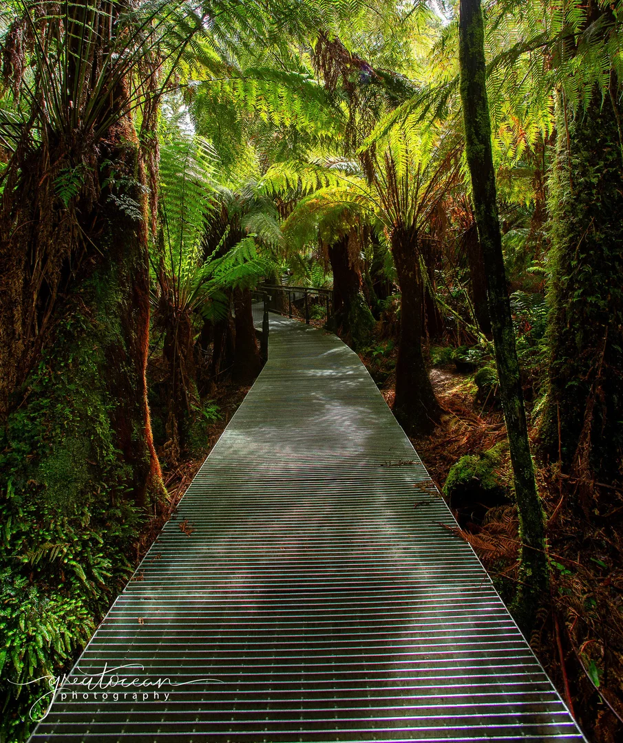Additional image 8 of 161 Great Ocean Road, Apollo Bay VIC 3233