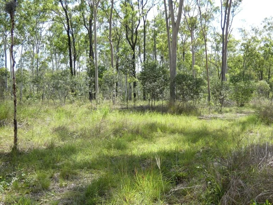 Additional image 33 of 397 Mollenhagens Road, Rosedale QLD 4674