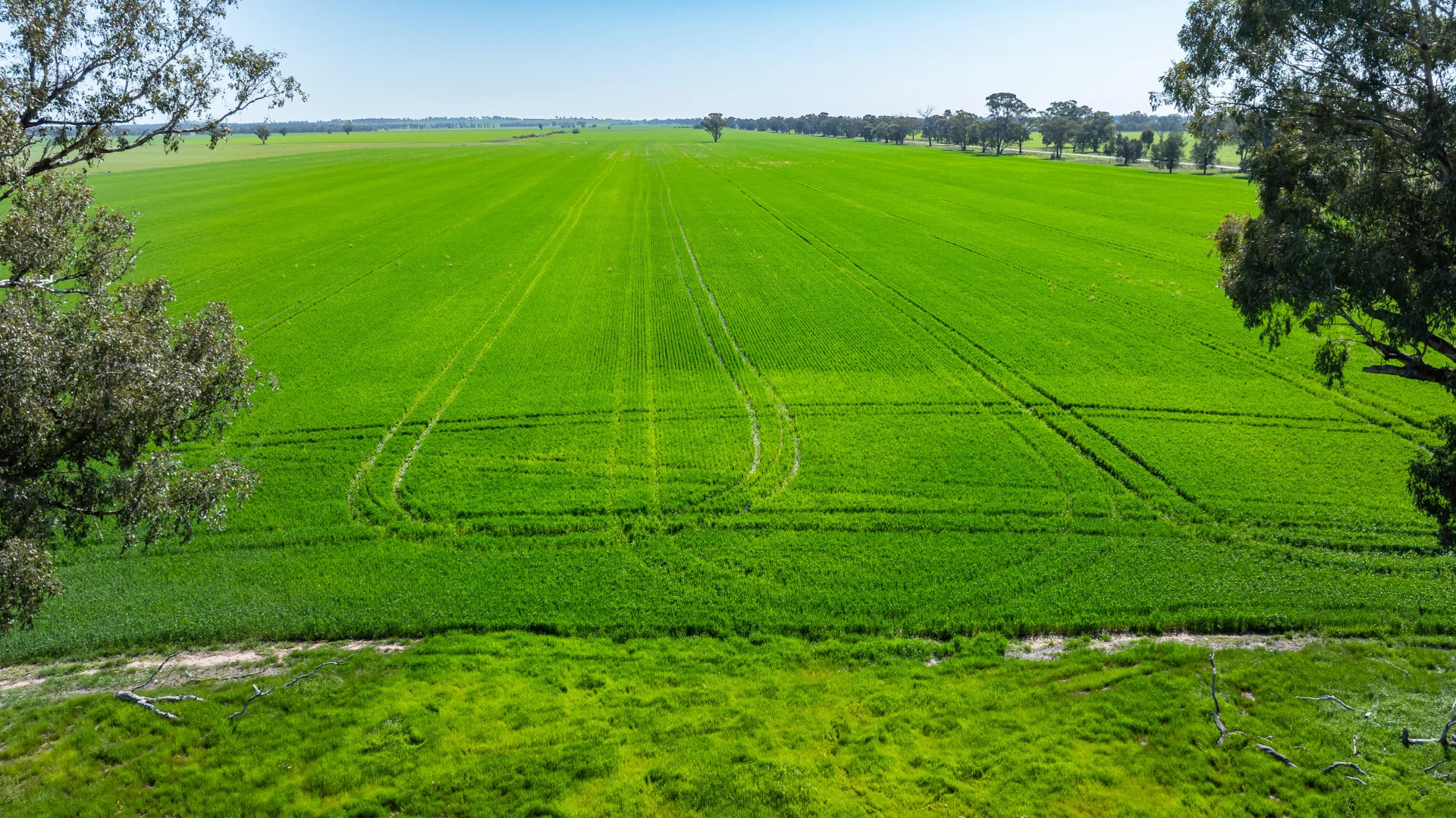 Additional image 6 of 153 Balldale-Coreen Road, Corowa NSW 2646