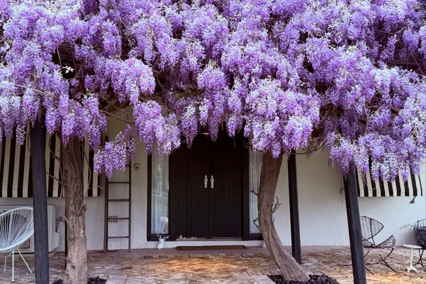 Additional image 6 of 229 Melrose Road, Mudgee NSW 2850