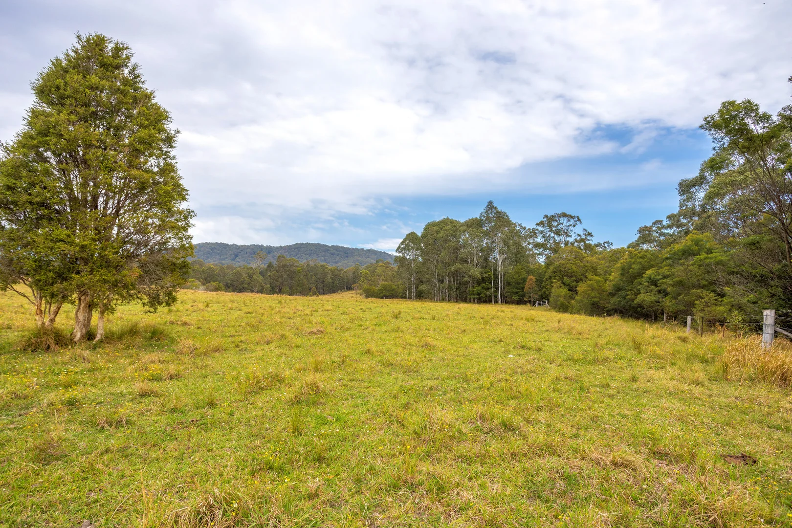 Additional image 13 of 180 Norries Road, Bunyah NSW 2429