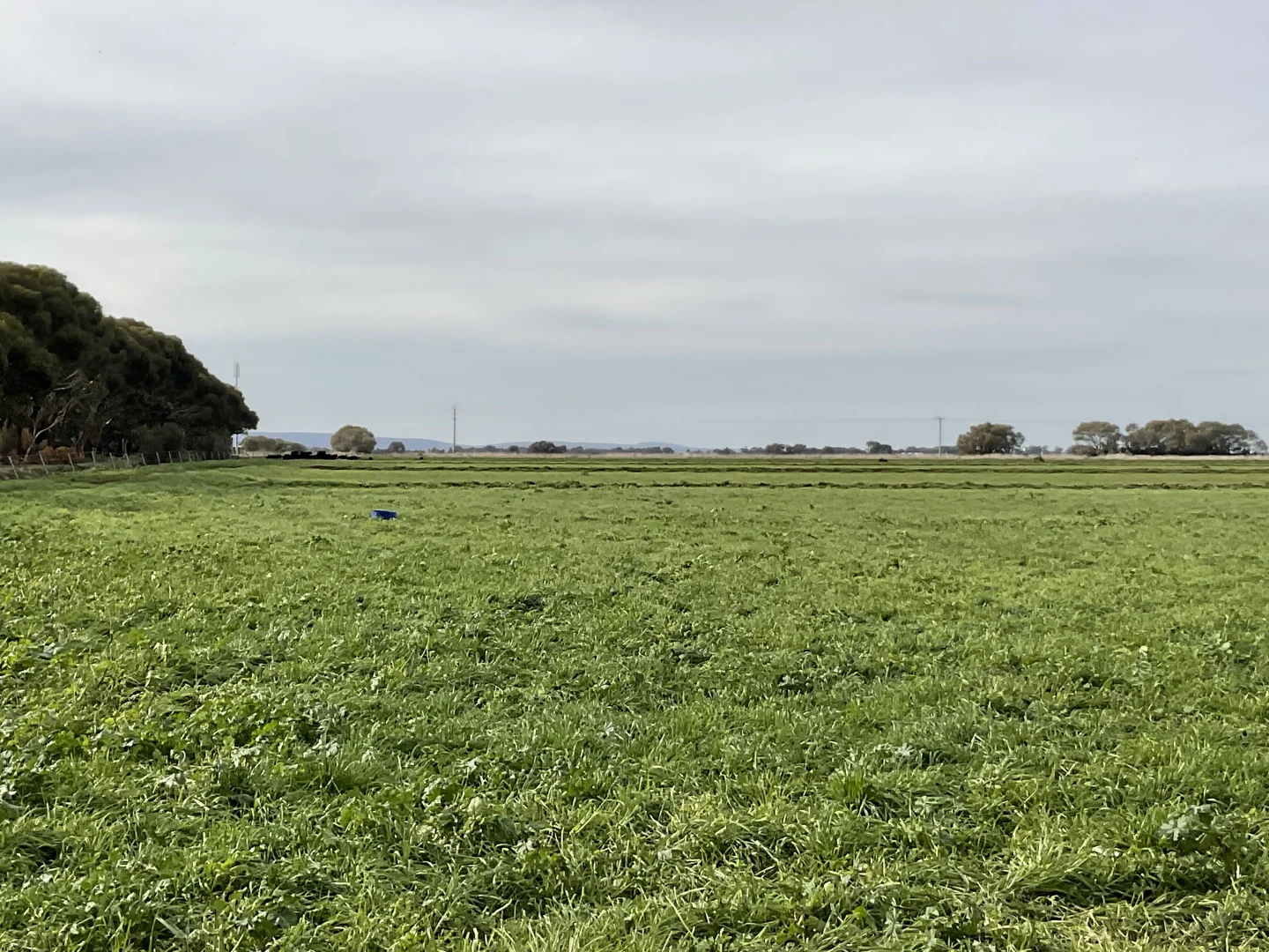 Additional image 2 of Part Farm 1428 Glenn Road, Murrami NSW 2705