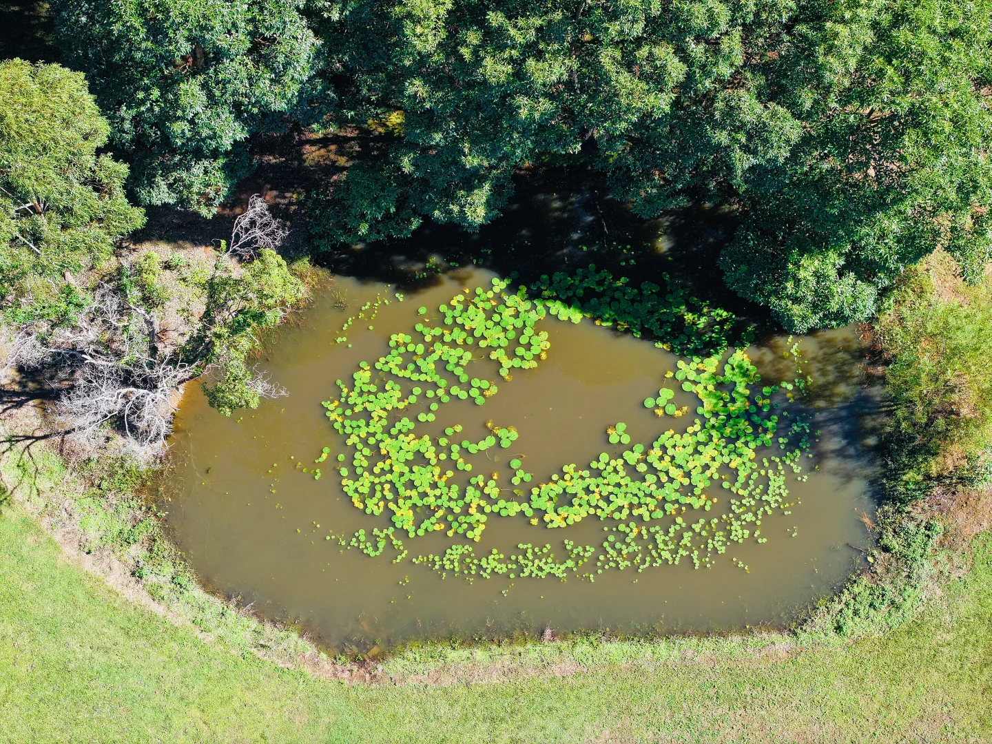 Additional image 7 of 28a Sugarmill Road, Sapphire Beach NSW 2450