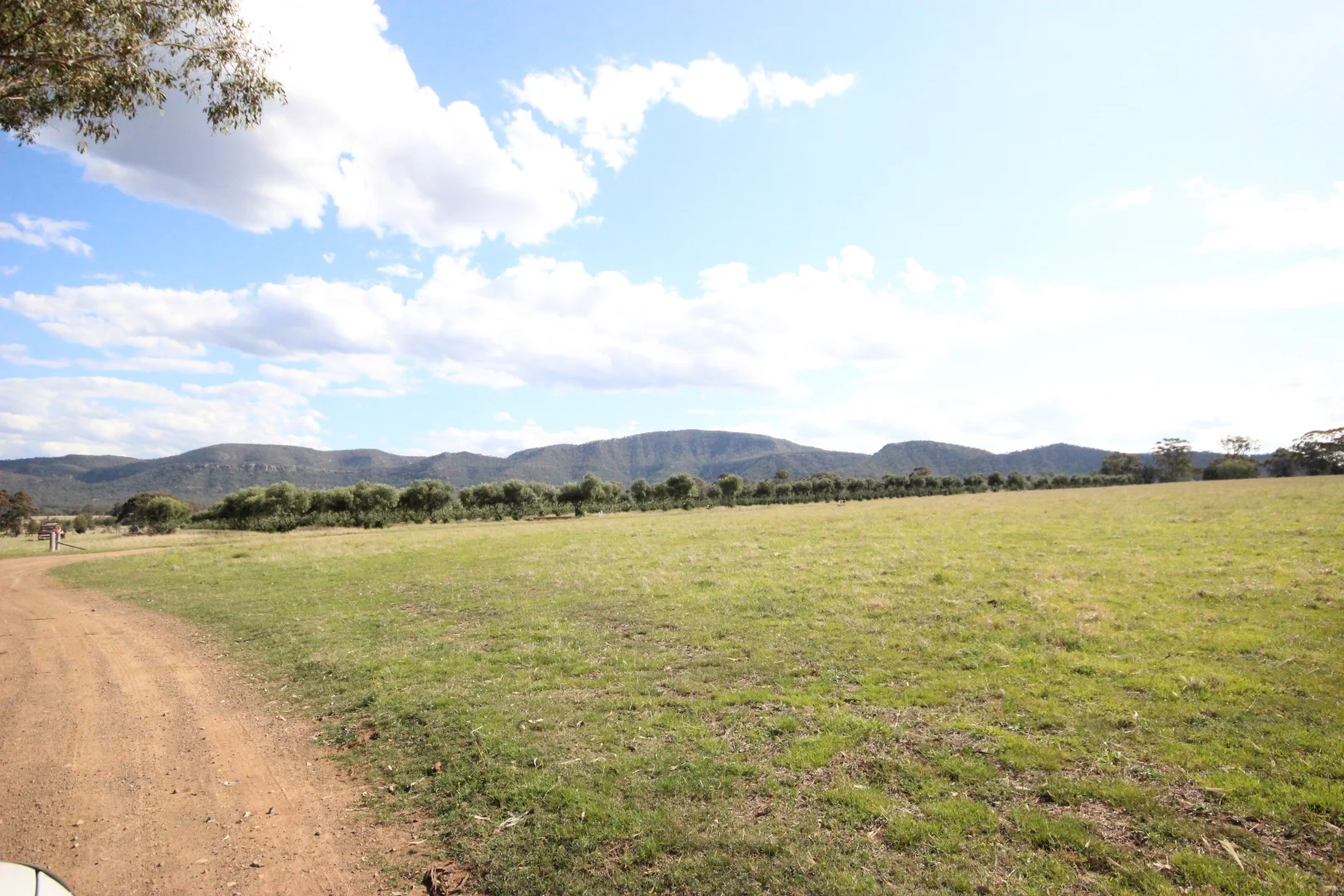 Additional image 27 of 207 Redmanvale Road, Jerrys Plains NSW 2330