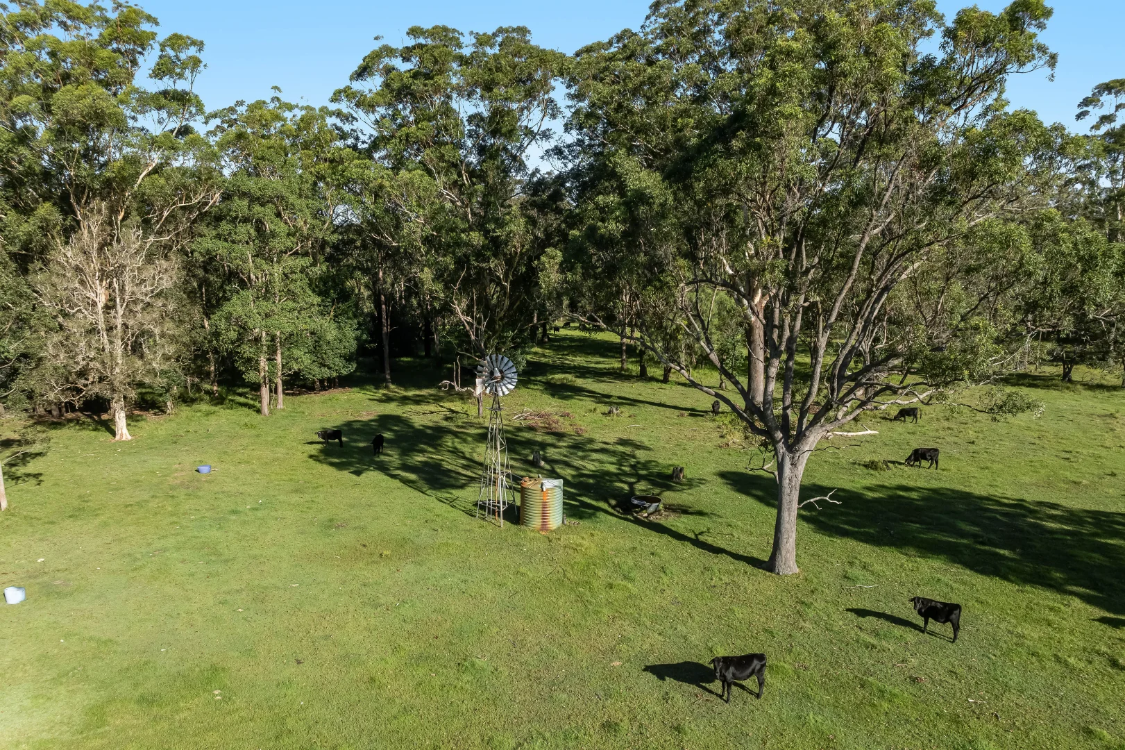 Additional image 21 of 428 Old Bagotville Road, Meerschaum Vale NSW 2477