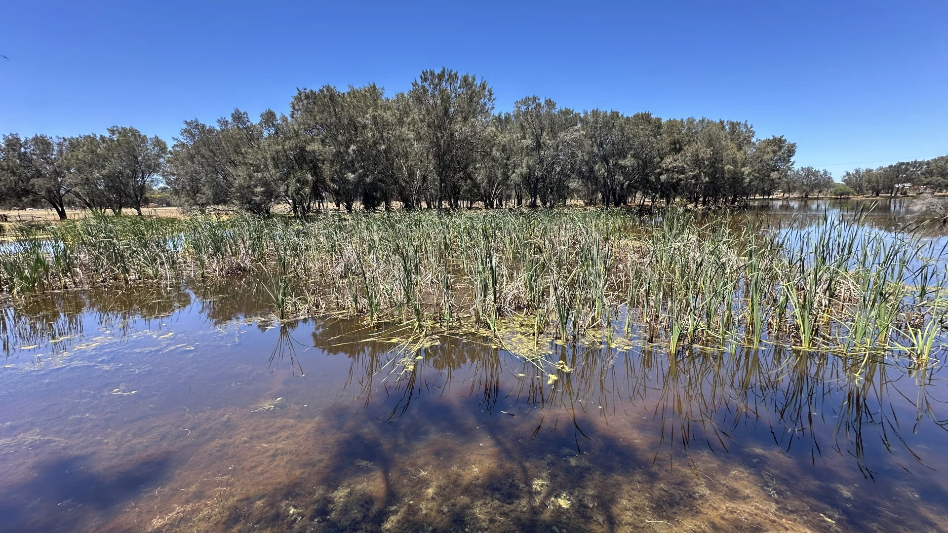 Additional image 6 of 1863 Thomas Road, Oakford WA 6121