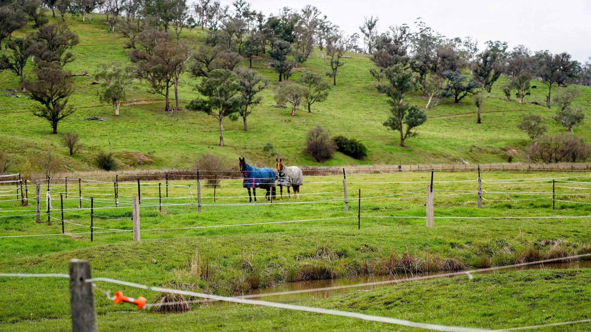 Additional image 24 of 105S Derby Street, Walcha NSW 2354