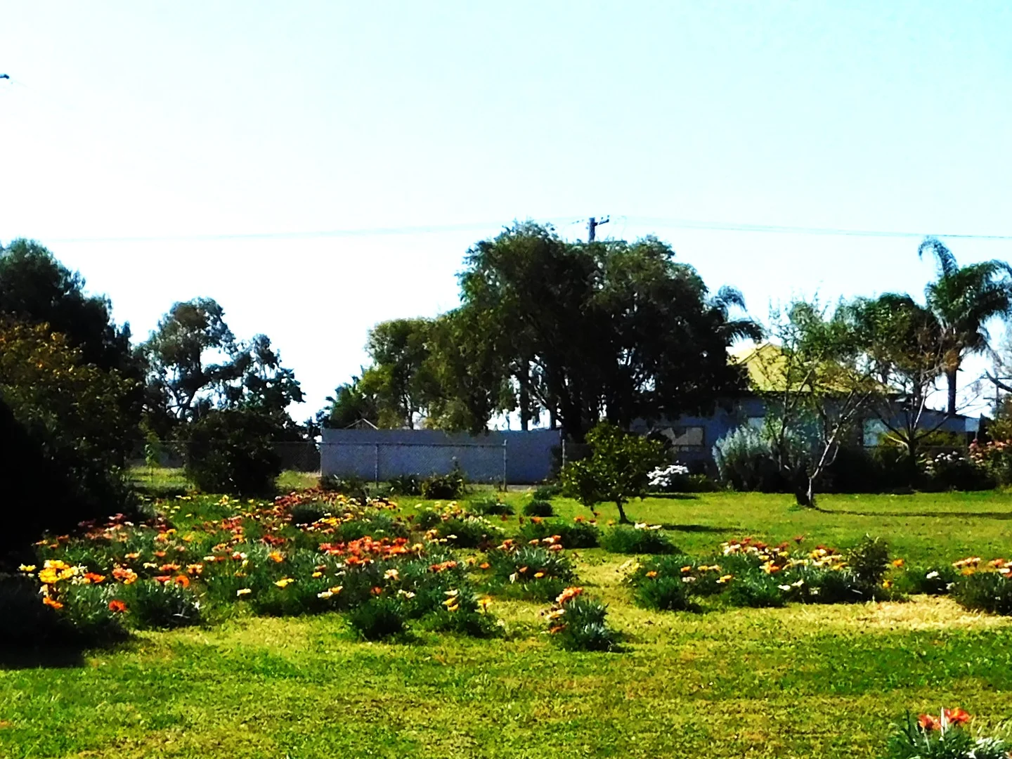 Additional image 3 of 102 Umang Street, Tottenham NSW 2873